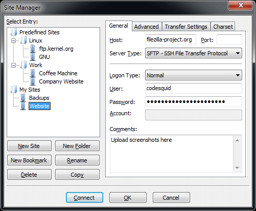FileZilla Windows 站点管理器截图
